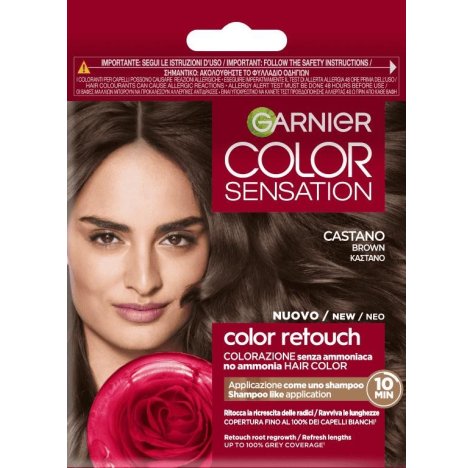 Garnier Color S Retouch Castano