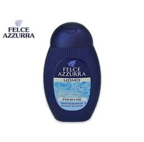 Felce Uomo Doccia 250 Energize