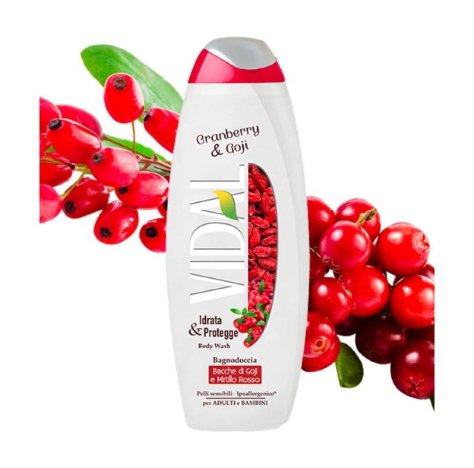 Vidal Bagno Bacche Di Goji 500ml