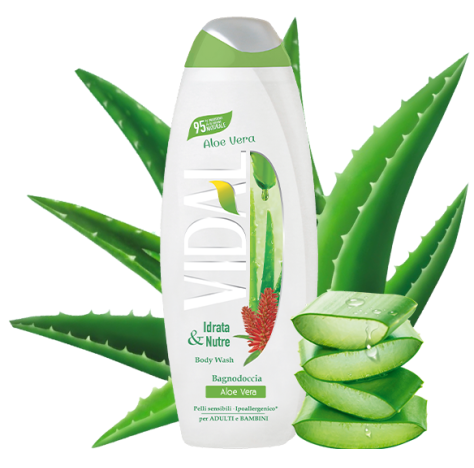 Vidal Bagno Aloe Vera 500ml