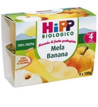 HIPP ITALIA Srl Hipp bio frutta grattugiata mela e banana 4x100g 