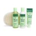 IDC INSTITUTE - CONFEZIONE REGALO ,Aloe Vera