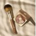 BIONIKE DEFENCE COLOR - KIT BRONZE , Terra compatta + pennello 