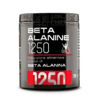 NET - BETA ALANINE 1250 , integratore per trofismo muscolare 90cpr