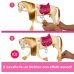 BARBIE - TORNADO , CAVALLO INTERATTIVO CON LUCI MUSICA E ACCESSORI 