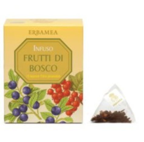 INFUSO FRUTTI DI BOSCO 45G INFUSO FRUTTI DI BOSCO 45G