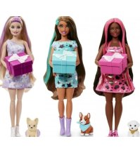 BARBIE REVEAL PARTY - Bambola con accessori a sorpresa 