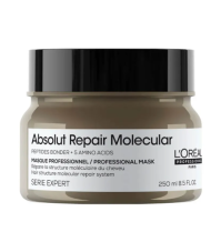 L'Oréal Professionnel Absolut Repair Molecular  Professional Mask