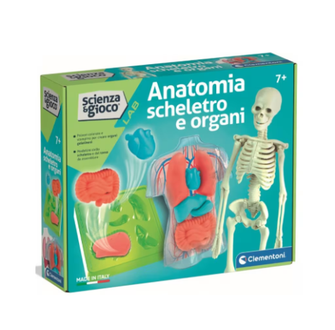 CLEMENTONI SCIENZA E GIOCO - ANATOMIA SCHELETRO E ORGANI