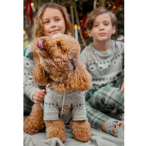 NOI DI NOTTE CANE PIGIAMA PER ANIMALI DOMESTICI IN CALDO COTONE ART.TR1461