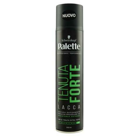 Palette Spray 300ml Forte 24h