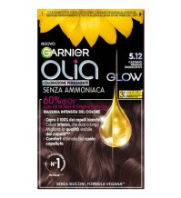 L'OREAL ITALIA SpA DIV. CPD Garnier Olia Glow 5,12