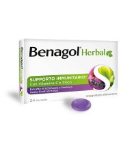 RECKITT BENCKISER H.(IT.) Spa Benagol herbal frutti di bosco 24 pastiglie 