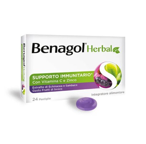 RECKITT BENCKISER H.(IT.) Spa Benagol herbal frutti di bosco 24 pastiglie 