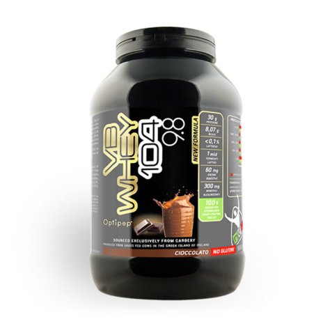 Net Integratori- VB Whey 104 9.8 wafer nocciola