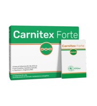 CARNITEX FORTE 14BUST