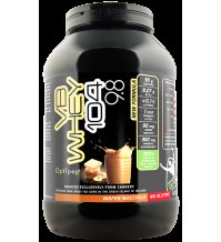 Net Integratori - VB Whey 104 9.8 Optipep Wafer Nocciola / 900 g