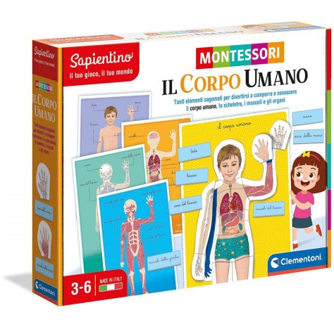 Montessori Il Corpo Umano