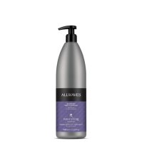 Allwaves Shampoo Nutriente 1lt
