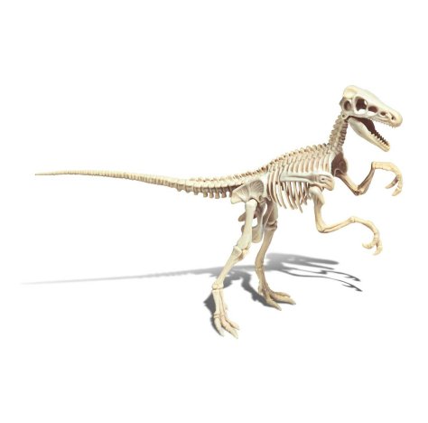 CLEMENTONI SpA Archeogiocando Velociraptor