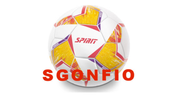 Palloni Da Allenamento Calcio FORZA | Net World Sports