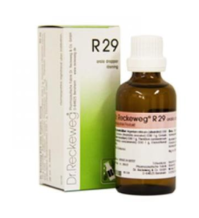 R29 GTT 22ML IMO
