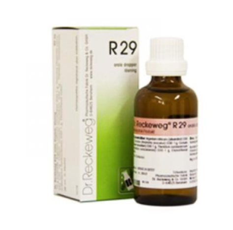 R29 GTT 22ML IMO