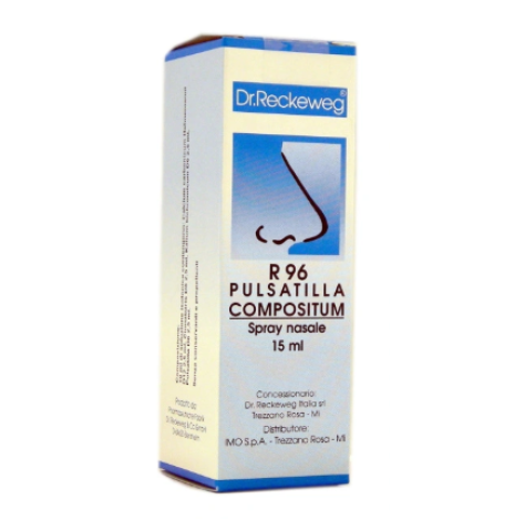 RECKEWEG R96 SPRAY NASALE 15ML