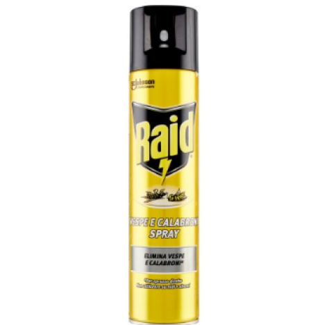 Raid Vespe E Calabroni Spray 400 Ml