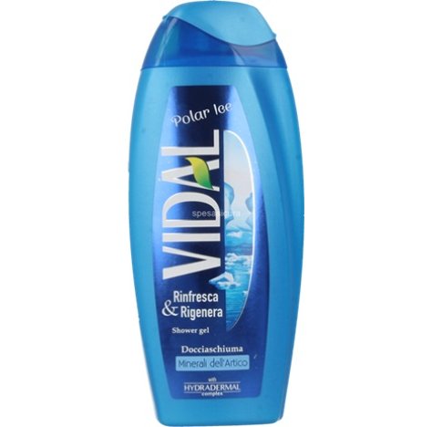 VIDAL DOCCIA POLAR ICE 250ML