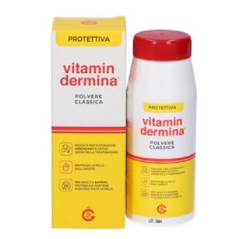 VITAMINDERMINA POLVERE 100G