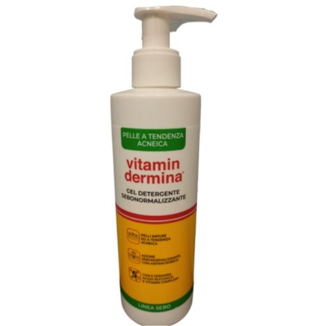 VITAMINDERMINA SEBO DETERGENTE 240 ML