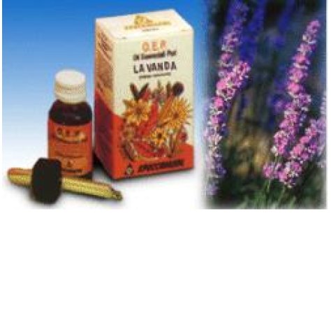 LAVANDA OLIO 10ML SPECCH