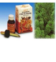 PINO SILVESTRE OLIO 10ML SPECCH