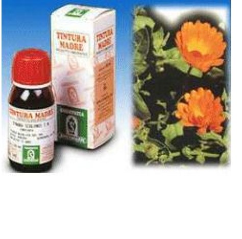 CALENDULA OFF 5 50ML TM SPECCH