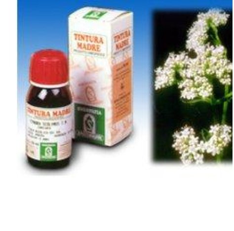 VALERIANA 36 50ML TM SPECCH