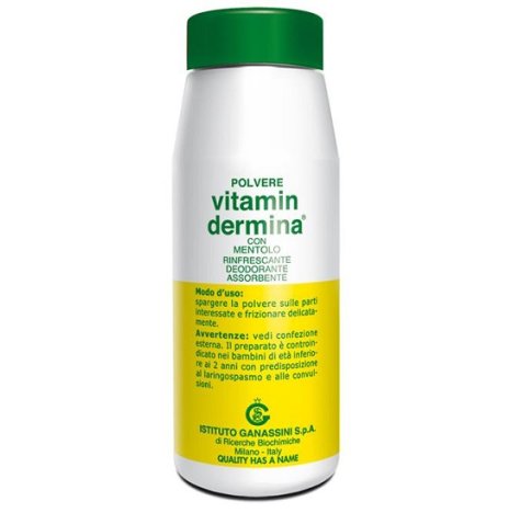 VITAMINDERMINA CORPO TRATTAMENTO AL MENTOLO RINFRESCANTE LENITIVO 100 G