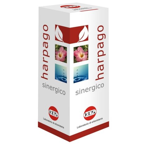 HARPAGO SINERGICO GTT 100ML KOS