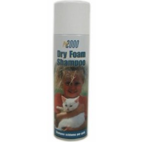 DRY FOAM SH GATTI 250ML