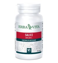 SALICE 60CPS 400MG FL EBV<