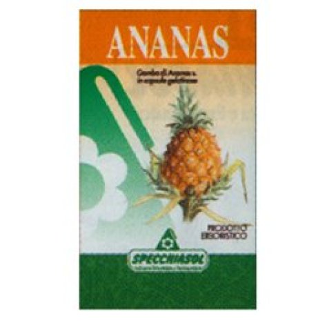 ANANAS ERBE 80CPS SPECCH