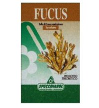 FUCUS ERBE 150TAV SPECCH