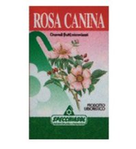 ROSA CANINA ERBE 75CPS SPECCH