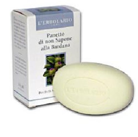 PANETTO NON SAP BARDANA 100G