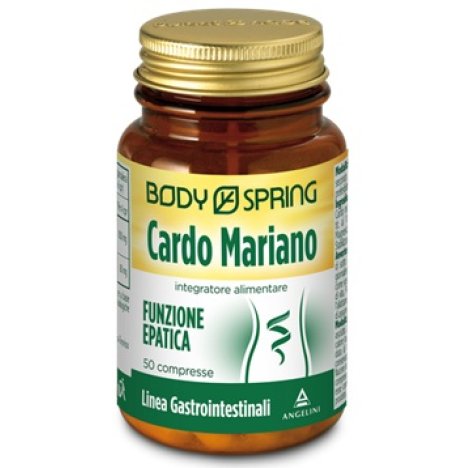 BS CARDO MARIANO 50TAV 25G BSP