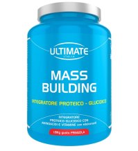 ULTIMATE MASS BUILDING FRAG1,8