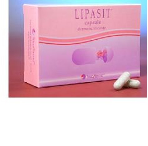 LIPASIT DERMOPUR 36CPS 500MG