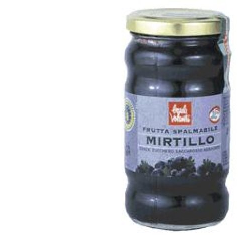 FRUTTA SPALMAB MIRTILLO 280G