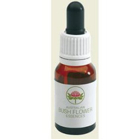 FLANNEL FLOWER AUSTRALIAN 15ML FLANNEL FLOWER AUSTRALIAN 15ML