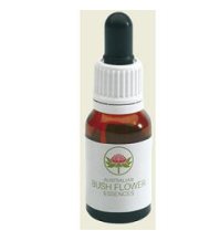 SUNSHINE WATTLE AUSTR 15ML GTT